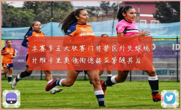 本赛季五大联赛门将禁区外失球统计维卡里奥领衔德赫亚紧随其后