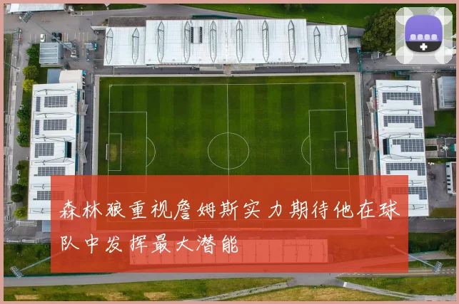 森林狼重视詹姆斯实力期待他在球队中发挥最大潜能